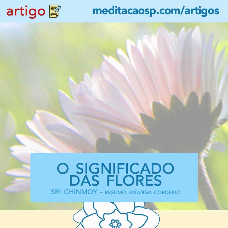 significado espiritual das flores